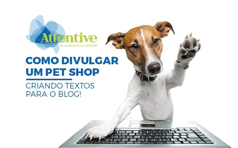Como Divulgar Um Pet Shop – Criando Textos Para O Blog!