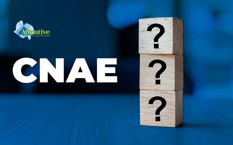 CNAE - Classificação Nacional de Atividades Econômicas - O que é?